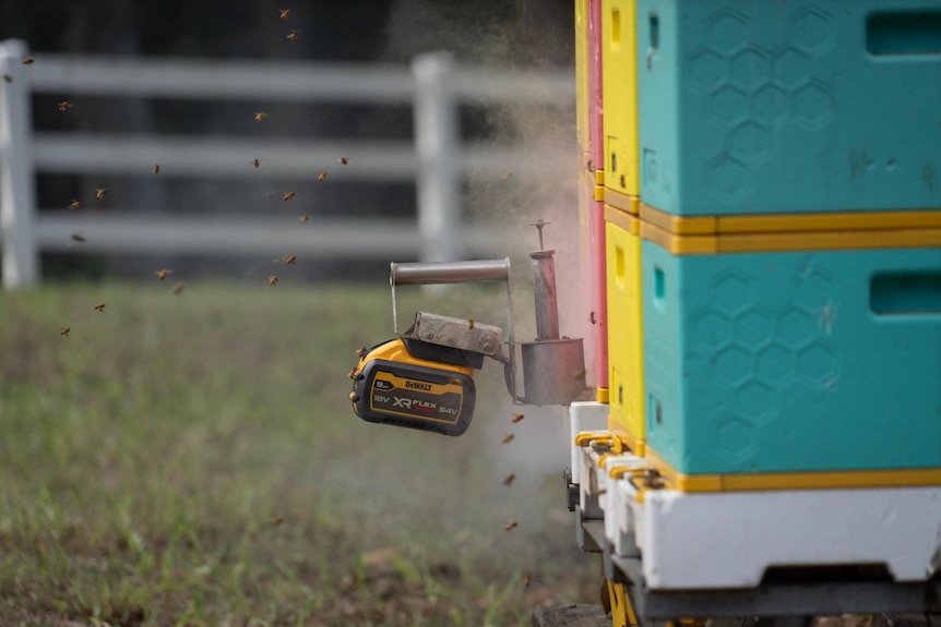 An oxalic acid vaporiser attached to a beehive with bees buzzing around it