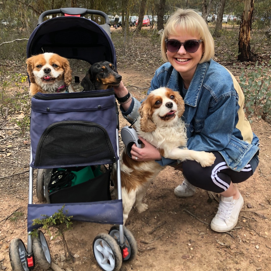 Georgie Purcell crouching on the ground holding a small dog next to a pram which contains two more small dogs.