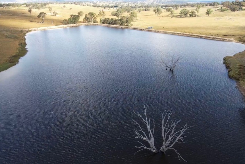 a dam of water is surrounded by paddocks.