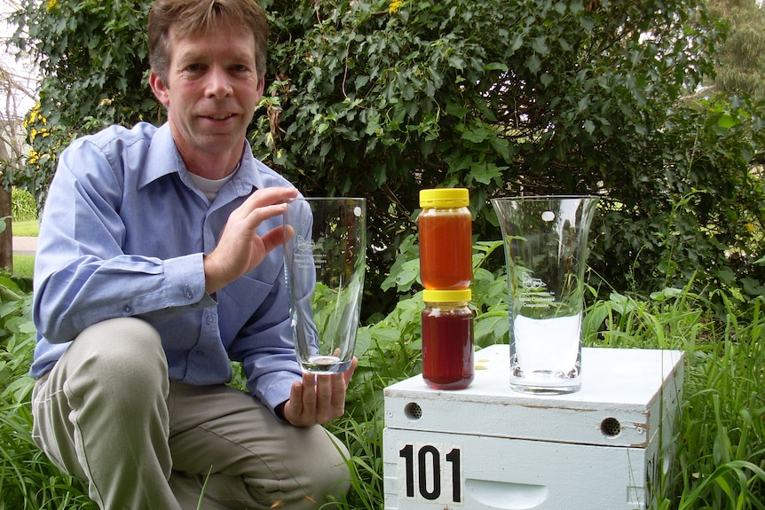 A man kneels next to a beehive with two jars of honey on it.