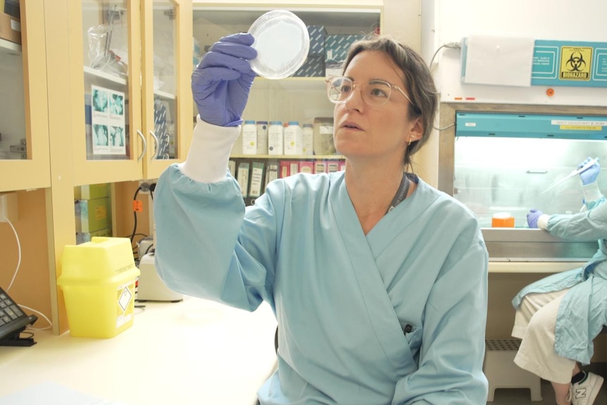 Female scientist in a lab looking at a petrie dish.