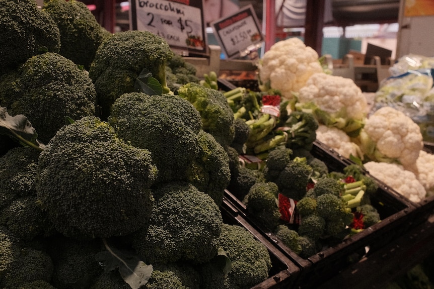 A market display of broccoli, broccolini and cauliflower.