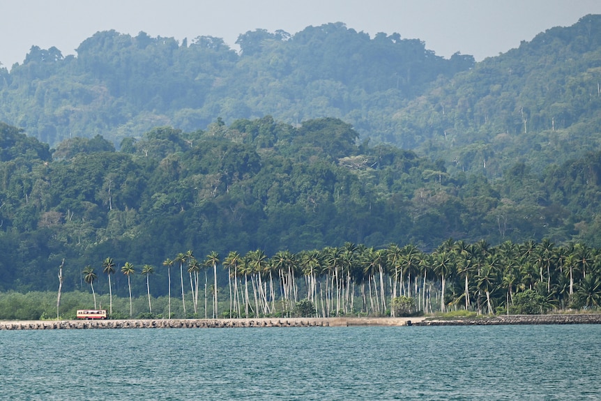 A yellow bus rides along a road on a beach front as tree-covered hills rise into the distance behind it