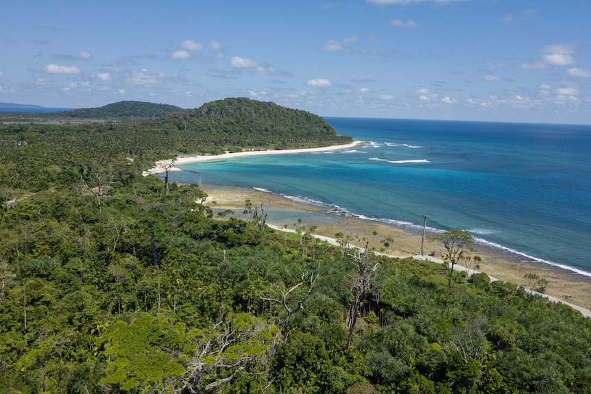 A pristine blue ocean meets a white sandy beach with trees stretching inland on an island