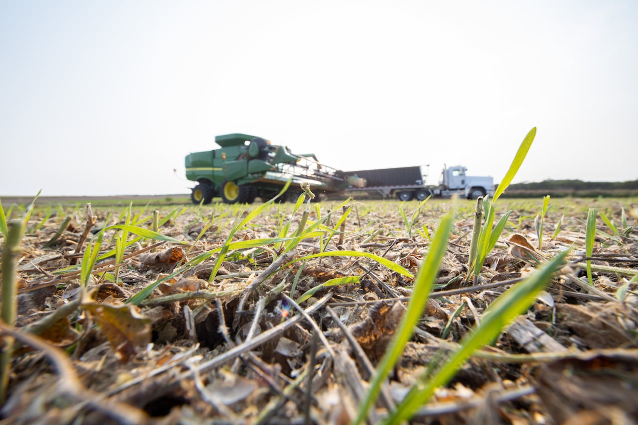 Farming machinery can be seen in the distance from ground level.