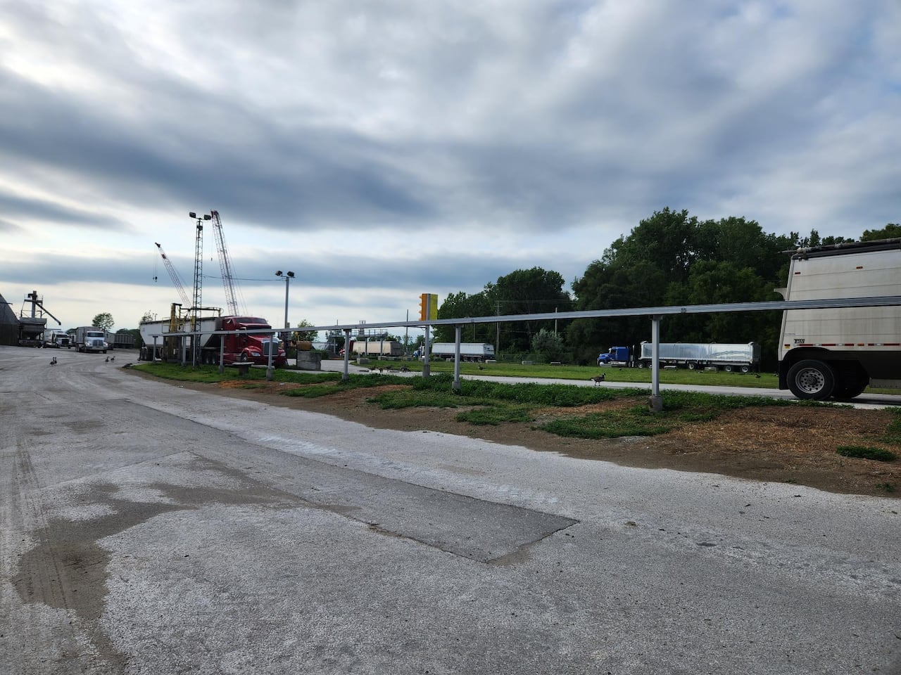 Transport trucks can be seen coming and going from Cargill's grain terminal in Sarnia, Ont.
