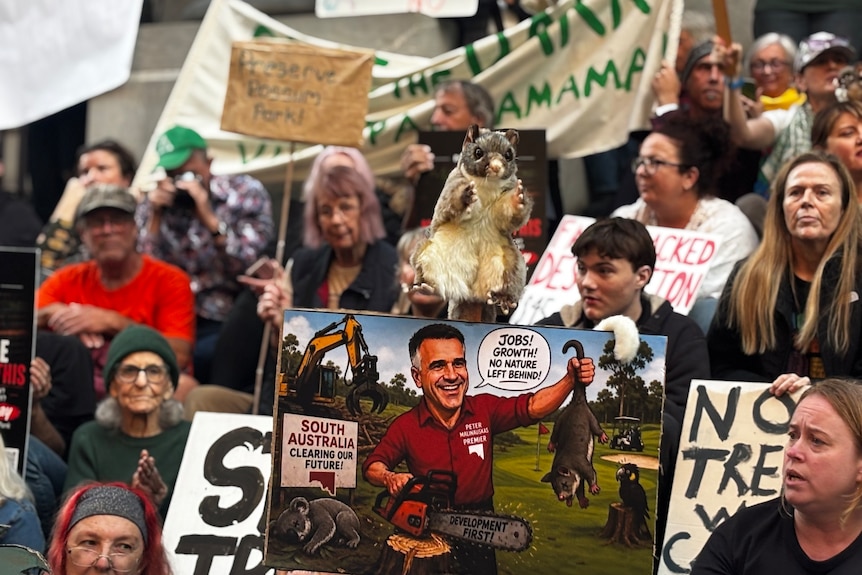 Hundreds of protesters gather on the steps of South Australia's parliament.