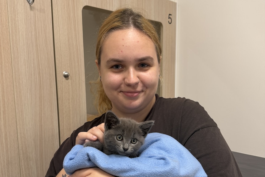 A woman holds a small kitten that is grey, with yellow eyes. 