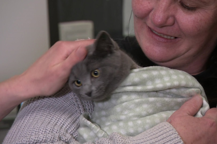 Lynn, a woman, holds Dorothy, a cat, wrapped in a blanket. 
