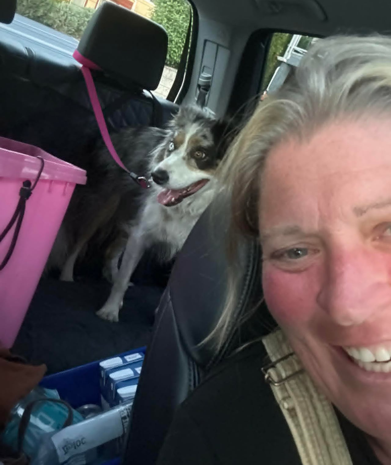 A woman smiles in a car with a dog in the back seat.