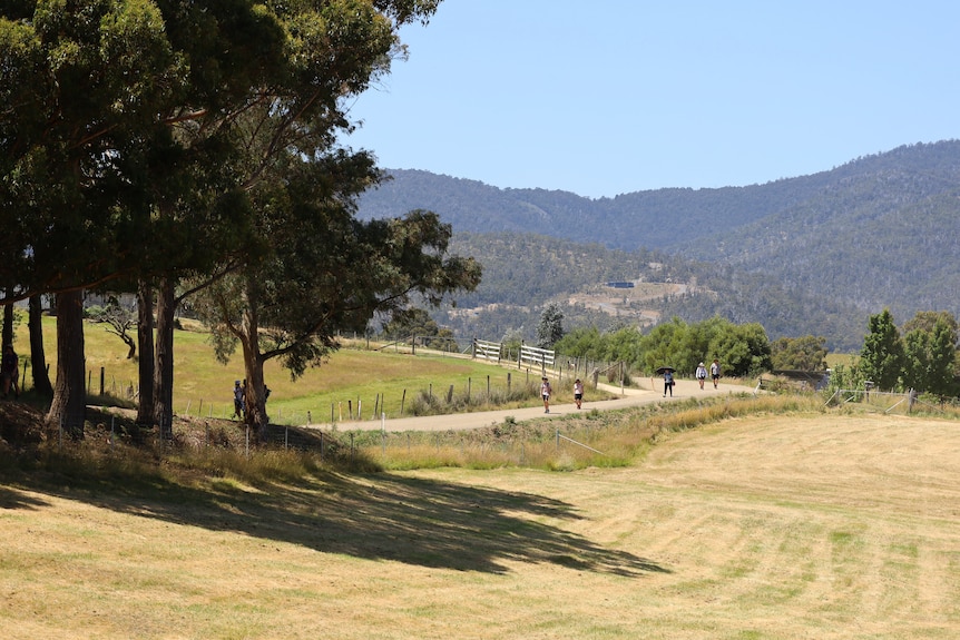 Walkers on a country road.