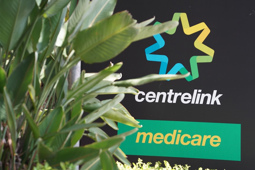 A centrelink sign beside a bush outside an office building.