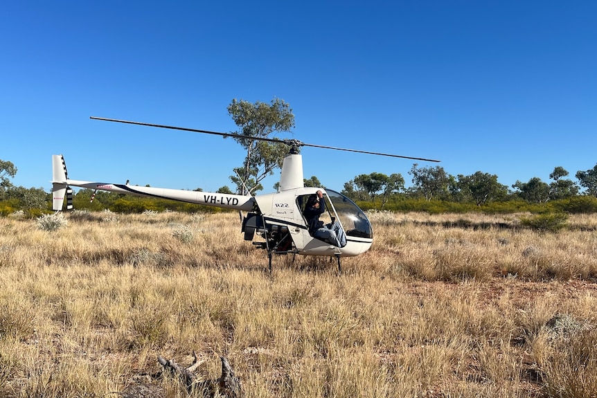 A man sits in a R22 mustering helicopter that is parked on the ground.