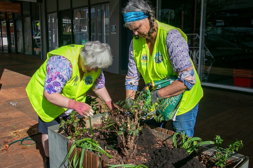 two women in yellow high-vis vests doing gardening in a planter box 