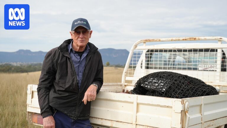 Farmers say absentee landholders hindering battle to control feral pests