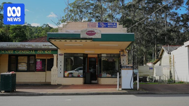 Worker says Victoria’s forestry transition program ‘decimated’ Gippsland’s small towns