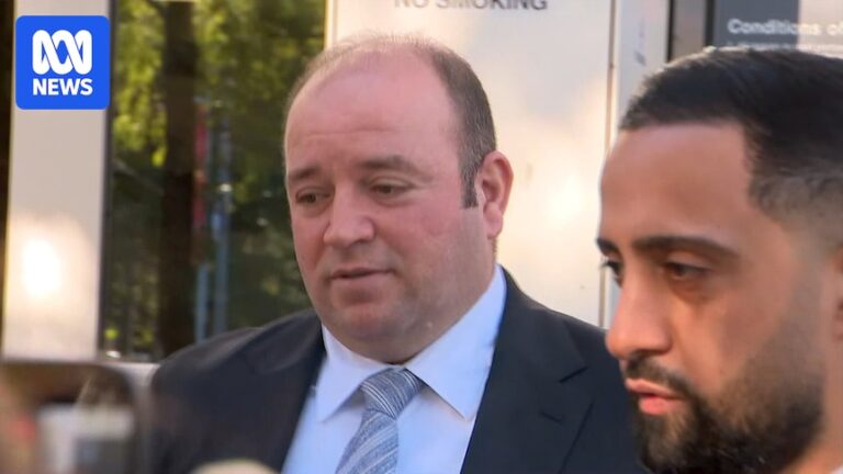 Bondi Beach terror attack hero Ahmed Al Ahmed pleads not guilty to alleged assault on father