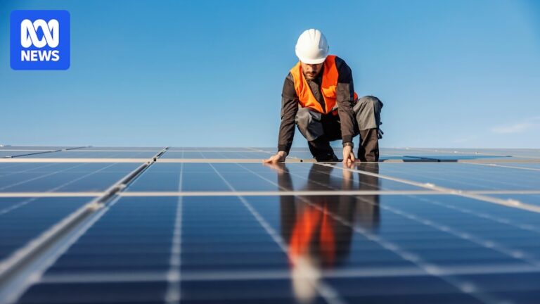 NSW Opposition’s push to redirect renewable projects from regions to Sydney