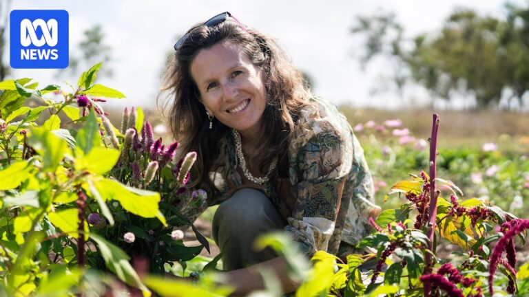 Micro flower farms popping up but pricing blooms is a challenge
