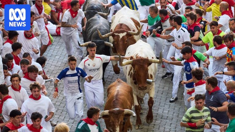 Runner gored in the face at Spain’s San Fermin bull run festival