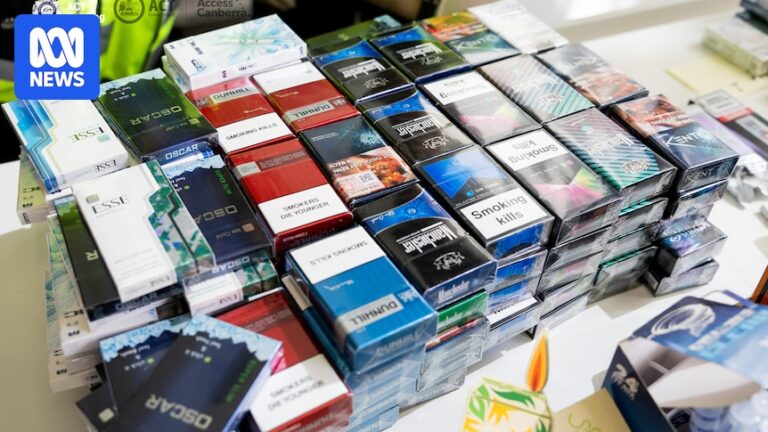 Authorities seize nearly $10 million worth of illegal tobacco and vapes in Tasmania